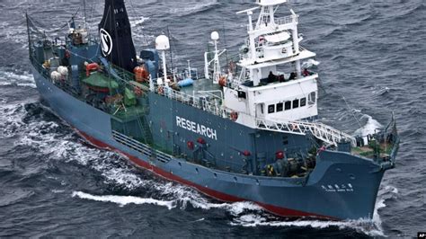 Australia New Zealand Challenge Japan Over Whaling