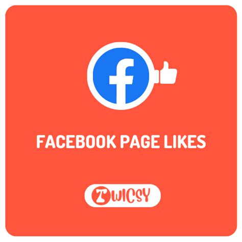 100 Facebook Page Likes Twicsy