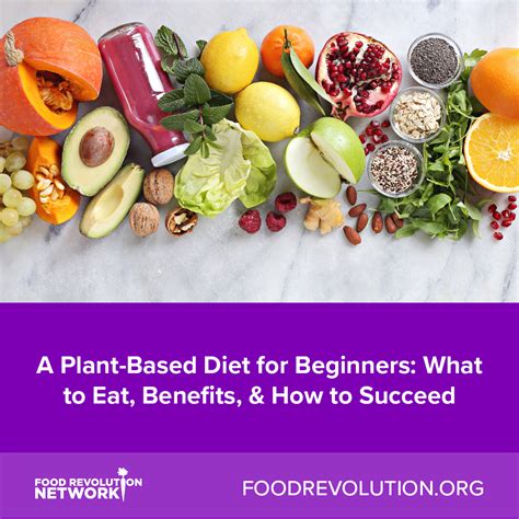 Plant Based Diet Guide What To Eat Benefits And How To Succeed In