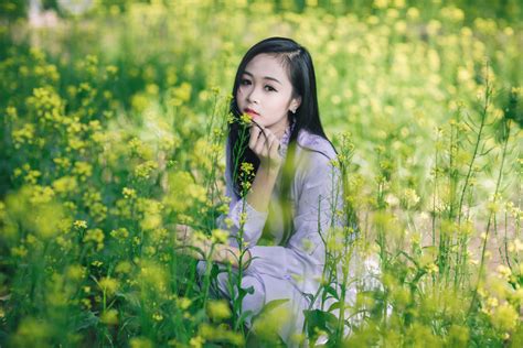 Gambar Alam Menanam Gadis Bidang Padang Rumput Sinar Matahari