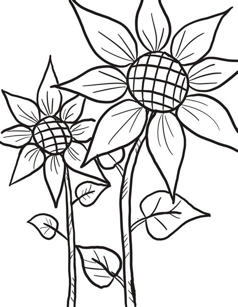 Double Sunflower Coloring Page Etsy