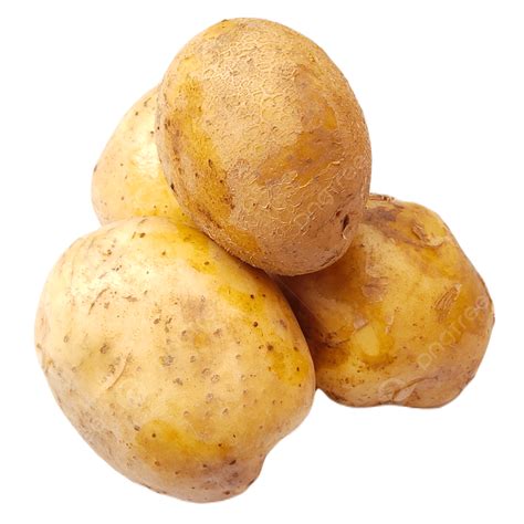 Kentang Mentah Transparan Potatoes Sayuran Potato Png Transparent