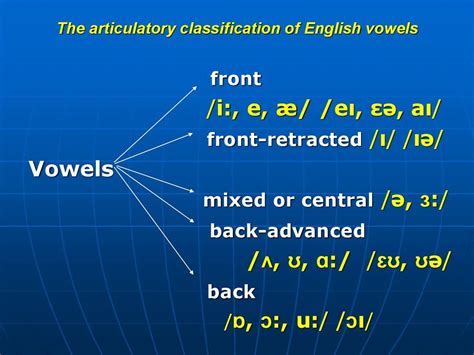 The Articulatory Classification Of English Vowels Position Of The