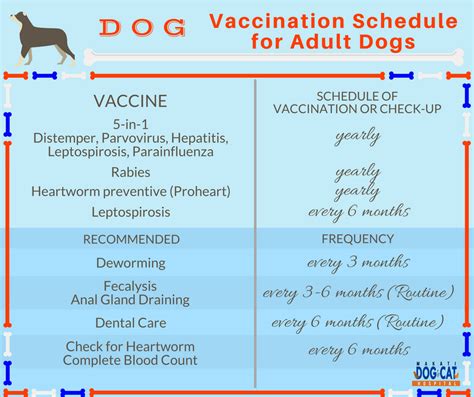 Here's what pet parents should know about which vaccines dogs need and how the dog vaccination schedule works. Myths & Facts - Jackson's Kennel
