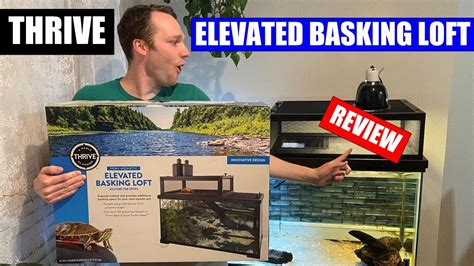 Thrive Elevated Basking Loft Full Setup And Review This Is It Youtube