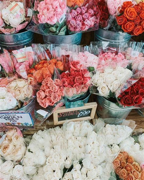 But when you want certain items in fact, trader joe's is sort of impressive in its ability to cram so many products into such small stores. #blooms #traderjoes #roses | Facts about plants, Pink, Flowers