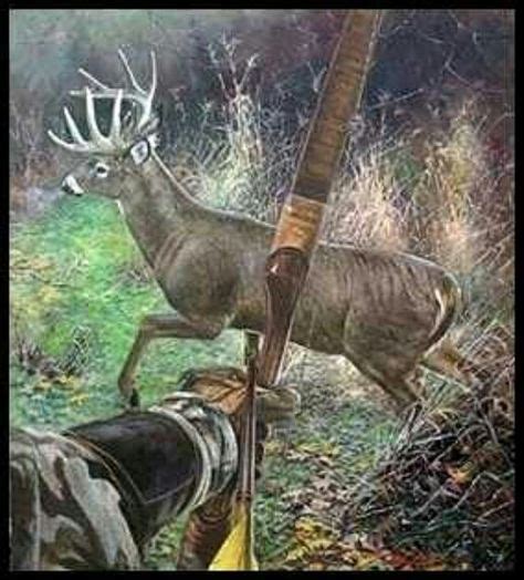 Pin By Thomas Connors On Deer Hunting Traditional Bowhunting Hunting