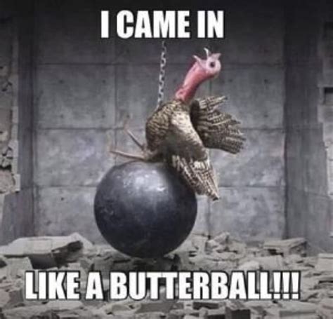 these turkey memes will make you gobble gobble what wap stands for memes