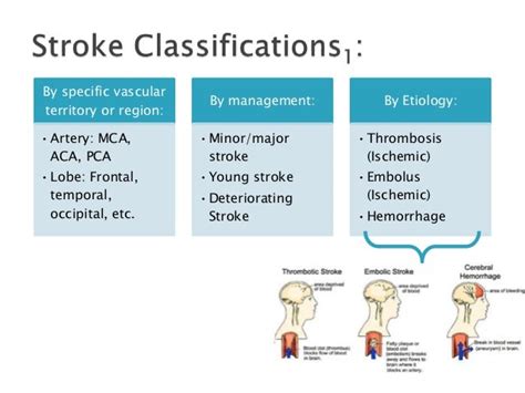 Hemorrhagic Vs Ischemic Stroke Prognosistpostrel