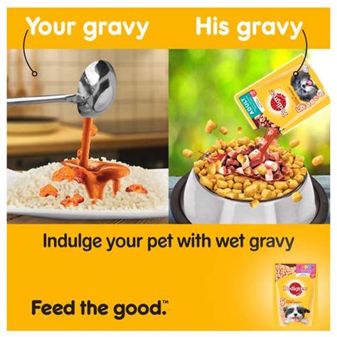 Help your dog grow happy and healthy with pedigree wet dog food. Buy Pedigree Wet Dog Food - Chicken Chunks In Gravy, For ...