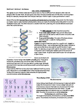 This video has a handout: Amoeba Sisters Alleles And Genes Worksheet - As Genetic Drift Docx Amoeba Sisters Video Recap ...