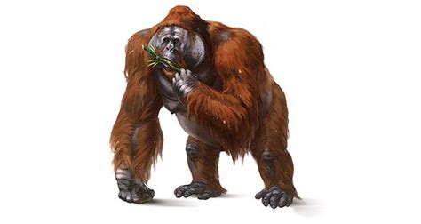 Gigantopithecus Blacki Prehistoric Animals Extinct Animals Prehistory