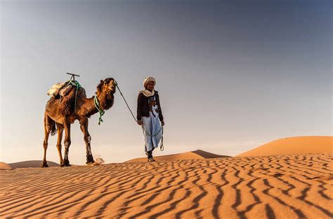 Camel Riding In The Sahara Desert Moroccan Journeys