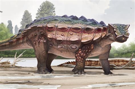 New Armored Dinosaur Discovered In Utah