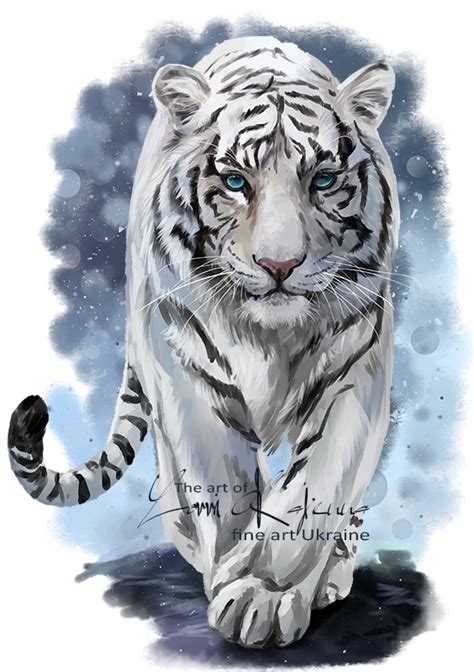 A White Tiger With Blue Eyes Is Walking In The Snow And Has One Paw Up