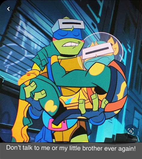 Rise Of The Teenage Mutant Ninja Turtles Meme Tmnt Artwork Teenage