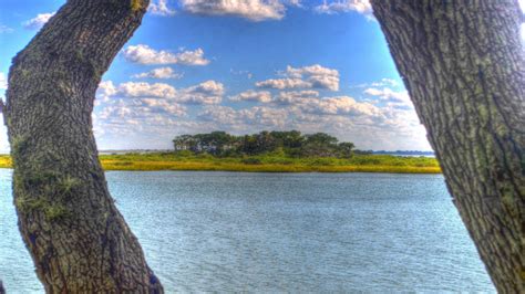 Free Images Sea Coast Tree Water Nature Rock Sunlight Shore