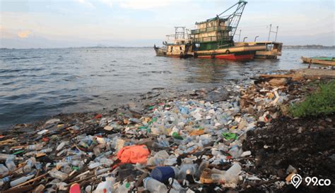 Jenis Pencemaran Lingkungan Dan Dampaknya Terhadap Lingkungan