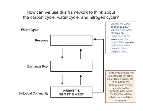 Ajukan pertanyaan tentang tugas sekolahmu. 30 Carbon Cycle Diagram Label