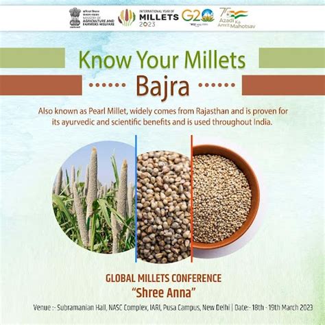 MyGovIndia On Twitter Did You Know That Bajra Also Known As Pearl
