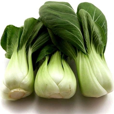 Bulk Bok Choy White Stem Seeds Vegetable Garden Buk Pak Choi