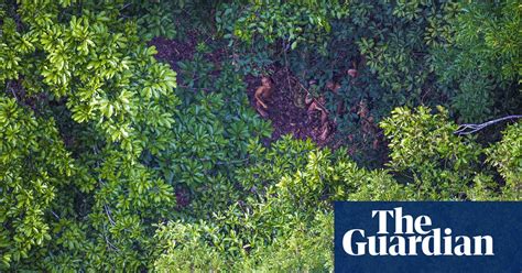 Sighting Of Uncontacted Amazonian Tribe In Pictures World News