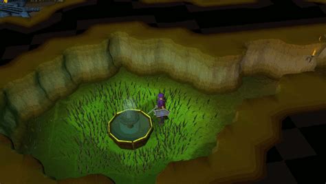 Ð ¥+ ring of wealth i osrs 31 dec 2020 pain in the joints, also called arthralgia, is a possible side effect of cancer and its treatment. Heroes' Guild - RuneScape Guide - RuneHQ