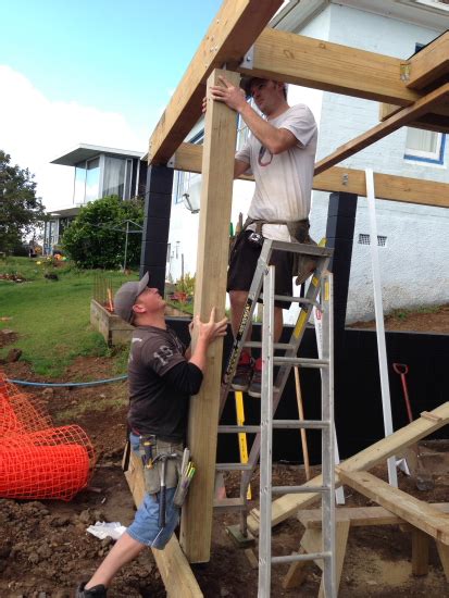 Shedding Some Light On Light In Our Shed Nz