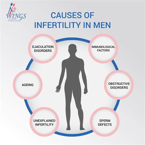 Wings Hospital On Twitter Male Infertility Causes Of Infertility