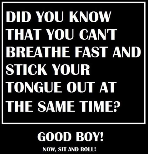 Did You Know Did You Know Funny Funny Quotes Funny Posters