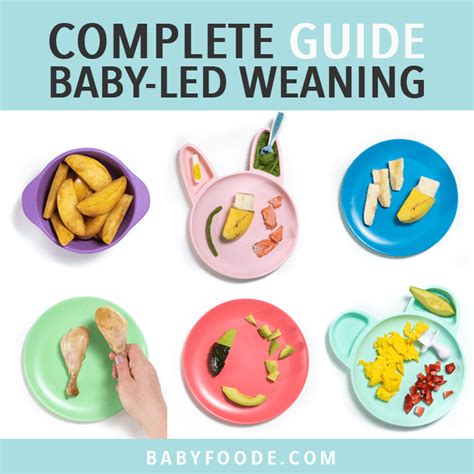 Complete Guide To Baby Led Weaning Baby Store