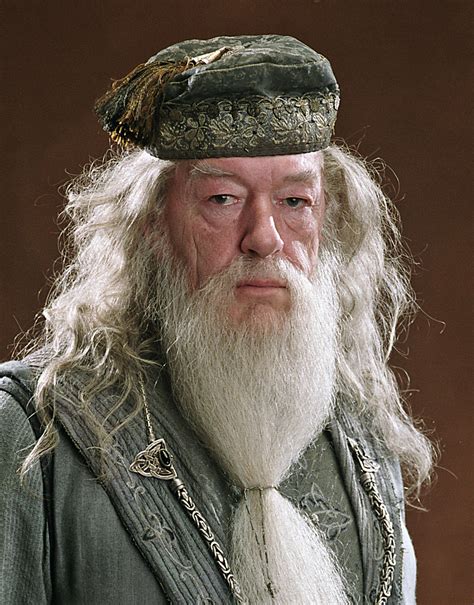 Albus Dumbledore 알버스 덤블도어 사진 40782731 팬팝