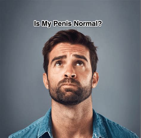 Is My Penis Size Normal Blog