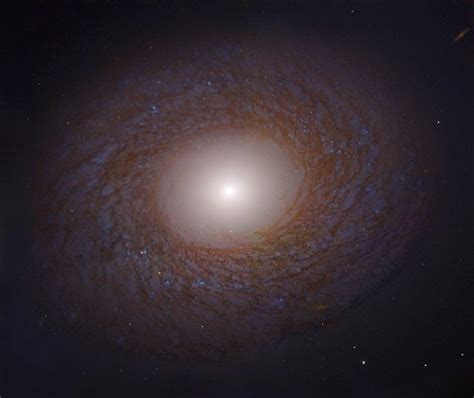 Ngc 4394 es la galaxia espiral barrada arquetípica, con brillantes brazos espirales que emergen de los. Galaxia Espiral Barrada 2608 - Galaxias Del Mes - Sin embargo, parece estar formando estrellas a ...