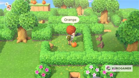 Animal Crossing May Day Maze 2022 How To Complete The May Day Tour And