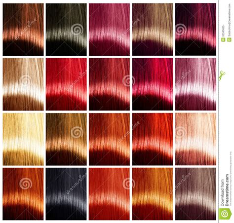 Scopri i servizi colorazione di l'oréal professionnel e i prodotti disponibili solo nel tuo salone Tavolozza Di Colori Dei Capelli Tinte Immagine Stock ...
