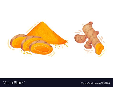 Turmeric Rhizome Or Root And Powder Pile Vector Image