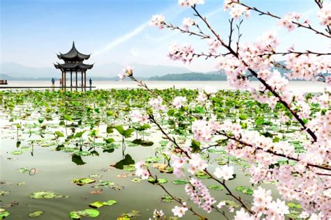 Excursion From Shanghai Hangzhou And Its Lovely West Lake Me Gusta Volar
