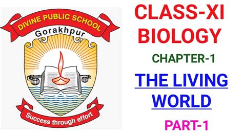 Class XI Biology Chapter 1 The Living World Part 1 YouTube