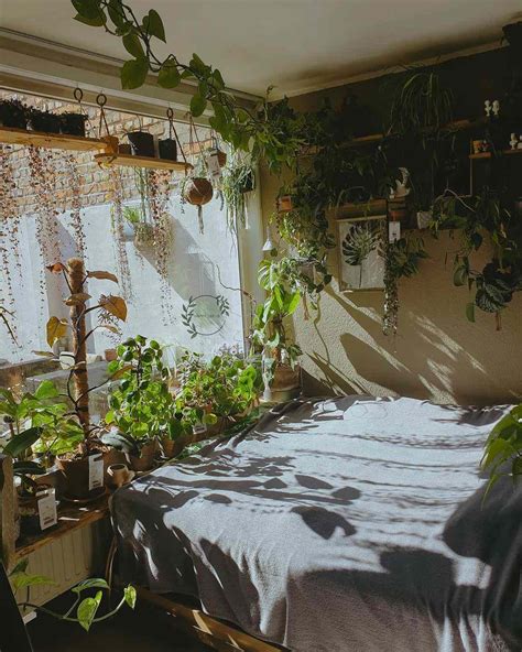 15 Bedrooms With Plants That Have Jungle Vibes