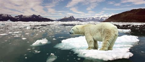 Qué es el calentamiento global y cómo nos afecta Icarito