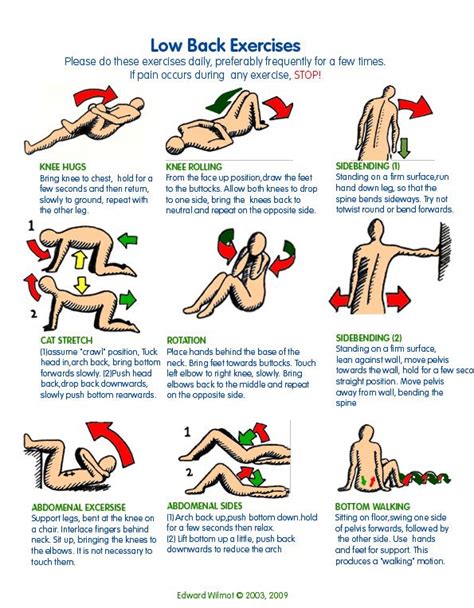 Stretching Exercises For Lower Back Massage Blog Massage Therapy