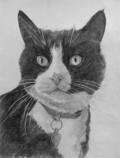 Custom Pencil Portrait Paint Your Life Black Cat Drawing Pencil