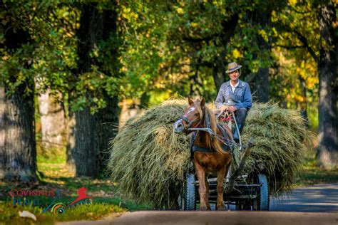 Top 10 Tourist Attractions In Romania Covinnus Travel Tours Of