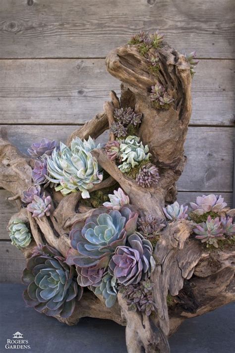 These succulent planters will make a great lively addition to your windowsill. 17 Unique Succulent Planters That Can Make A Statement