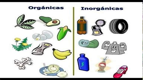 Top 32 Imagen Dibujos De Productos Organicos E Inorganicos