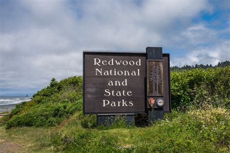 Redwood National And State Parks — The Greatest American Road Trip