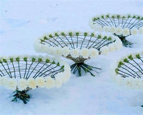 Pin Von Bridget Habetler Auf Floristika Interjere Blumen Gestecke