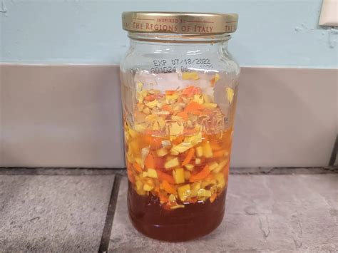 Fermented Ginger Turmeric Honey Homegrown Self Reliance