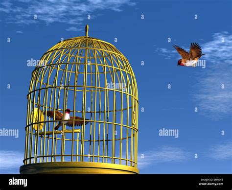 Bird Cage Open Hi Res Stock Photography And Images Alamy